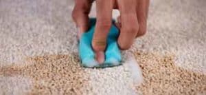cleaning up stains on carpet