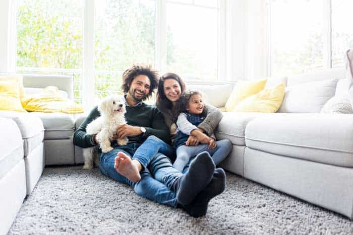 couple sitting on clean carpet with child and dog